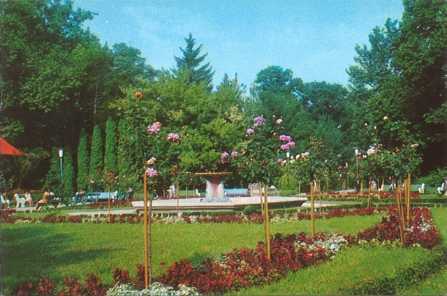 2060-6 - Buziaș. Vedere din parc